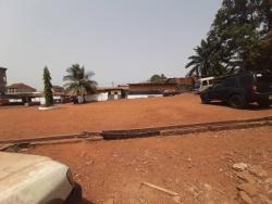 Blessing J Estate Agency SL